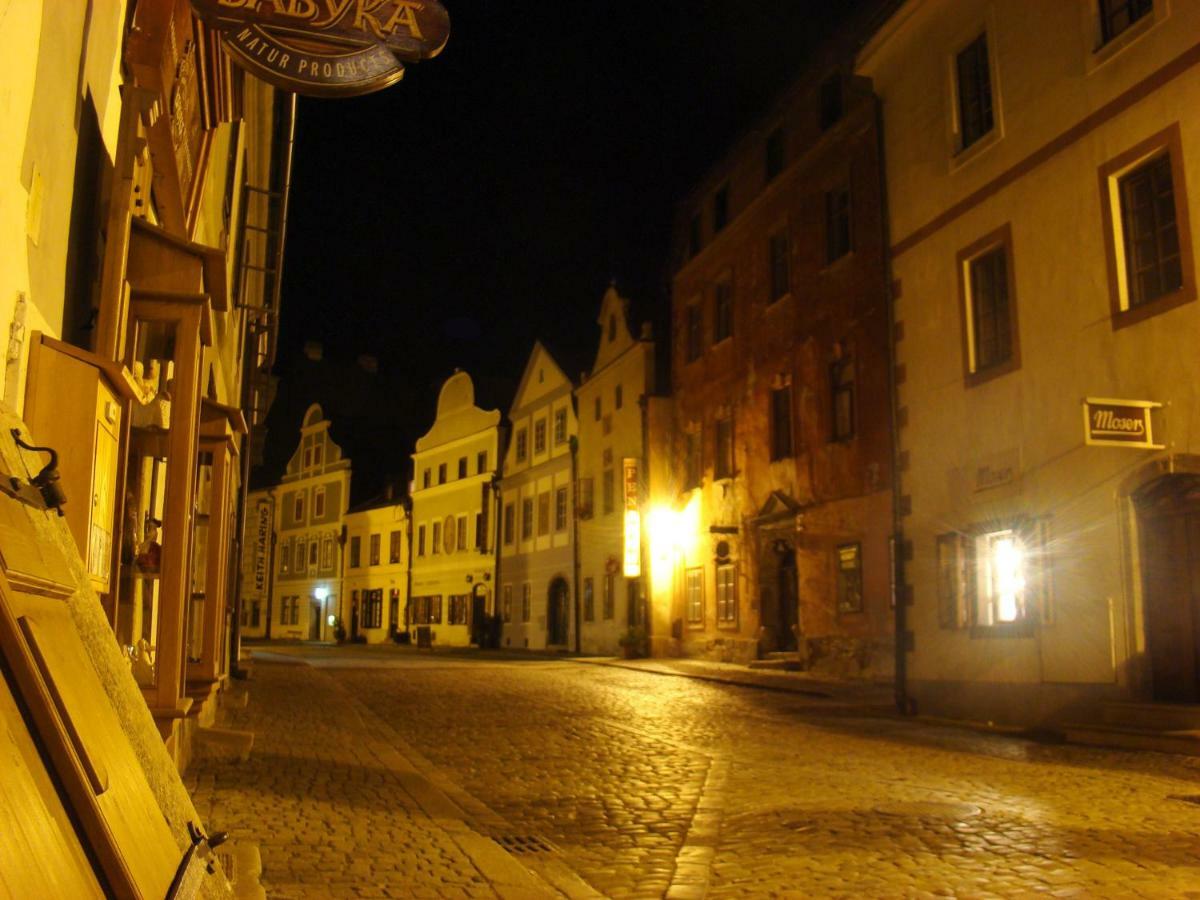ホテルRetro Chaty U Plaze Lipno Černá v Pošumaví エクステリア 写真